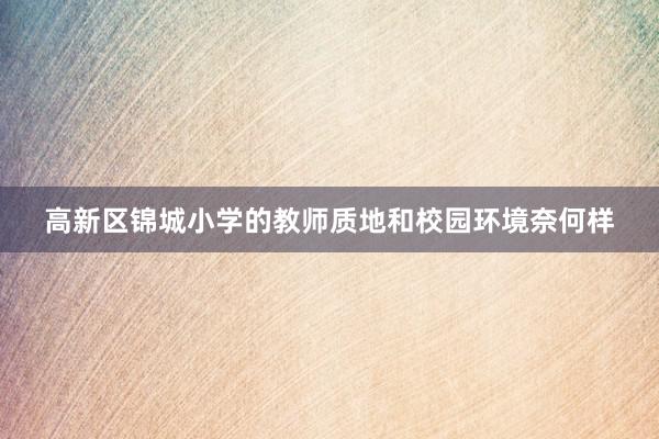 高新区锦城小学的教师质地和校园环境奈何样